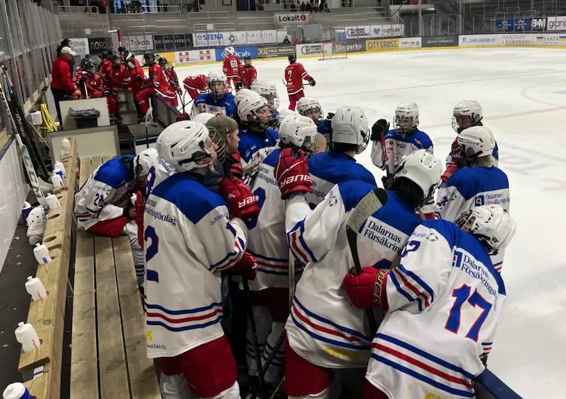 Falun tog en timeout i samband med Avestas 6-5-mål i slutet av tredje perioden. Foto: Mathias Rautsila