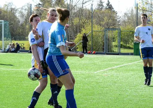 Foto: Linnéa Heiler 