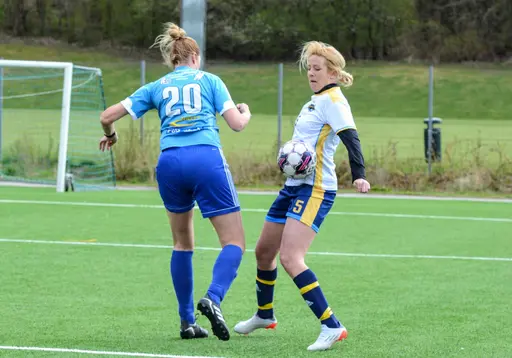 Foto: Linnéa Heiler 