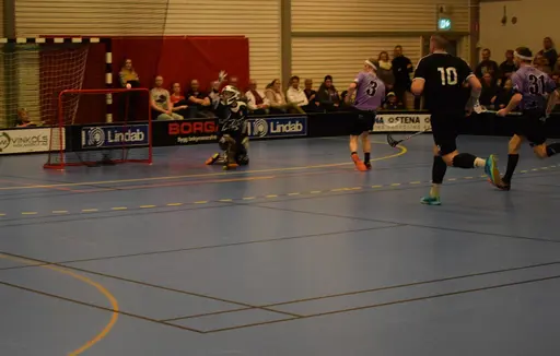 Skara - Falköping 2019-02-17