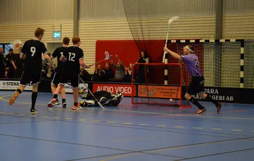 Skara - Falköping 2019-02-17