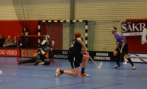 Skara - Falköping 2019-02-17