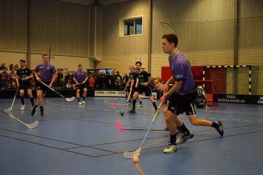 Skara - Falköping 2019-02-17