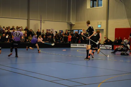 Skara - Falköping 2019-02-17