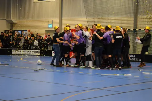Skara - Falköping 2019-02-17