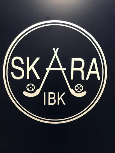 Skara IBK vs Skövde IBF