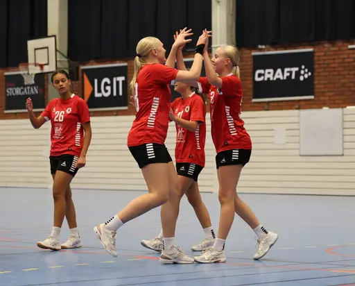 Bilder från matcherna tagna av Ludvika Handbollsklubb
