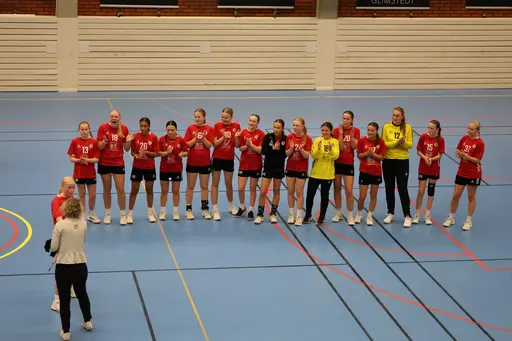 Bilder från matcherna tagna av Ludvika Handbollsklubb