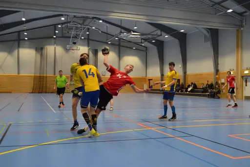 Vinst 27-22. Foto: Per Nordqvist.