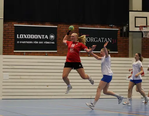 Bilder från matcherna tagna av Ludvika Handbollsklubb