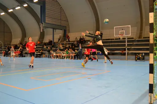 Vinst 25-23. Foto: Per Nordqvist.