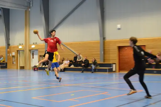 Slutresultat: 24-24. Foto: Per Nordqvist.