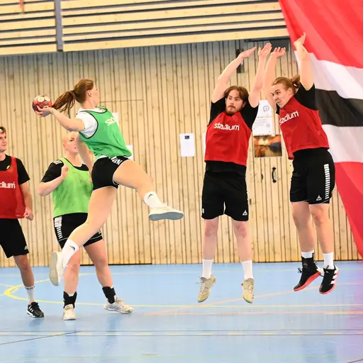 Fotograf: Pär Ahrling/@handboll_i_fokus