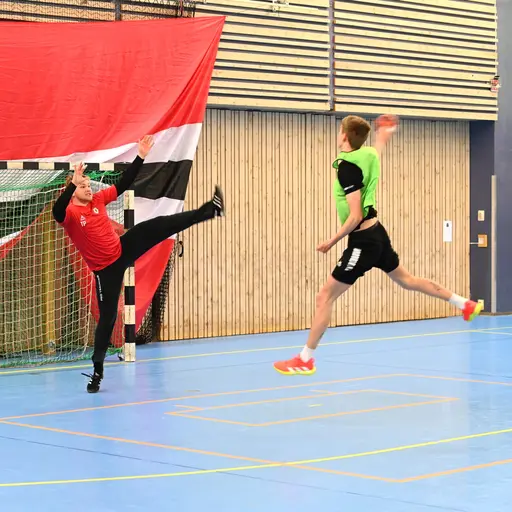 Fotograf: Pär Ahrling/@handboll_i_fokus