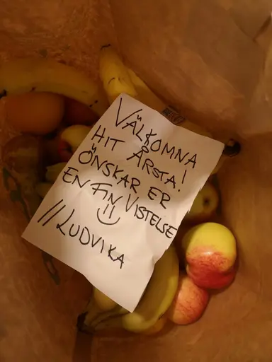 Bilder från matcherna tagna av Ludvika Handbollsklubb