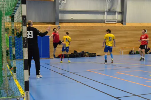 Vinst 27-22. Foto: Per Nordqvist.