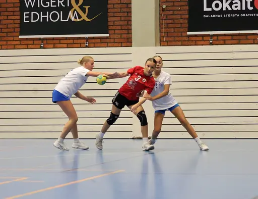 Bilder från matcherna tagna av Ludvika Handbollsklubb