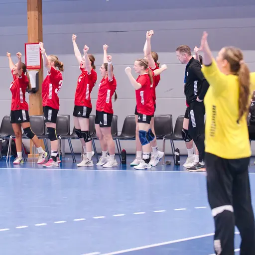 Foto: Pär Ahrling, Handboll i Fokus