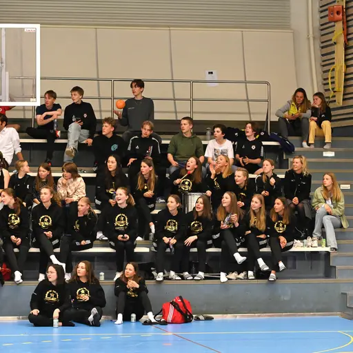 Fotograf: Pär Ahrling/@handboll_i_fokus