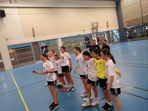 Överst: bilder från Tibblehallen och matcher i nivå 1. Nedre: bilder hemarrangemang i nivå 2 i Sjöstadshallen