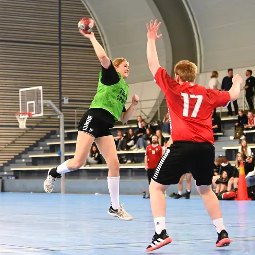 Fotograf: Pär Ahrling/@handboll_i_fokus
