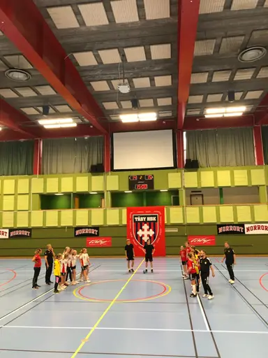 Överst: bilder från Tibblehallen och matcher i nivå 1. Nedre: bilder hemarrangemang i nivå 2 i Sjöstadshallen