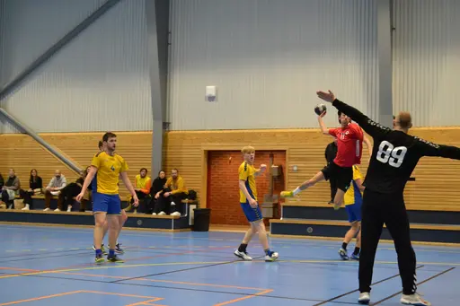 Vinst 27-22. Foto: Per Nordqvist.