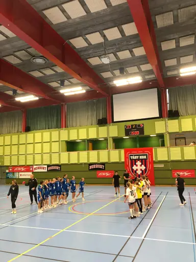 Överst: bilder från Tibblehallen och matcher i nivå 1. Nedre: bilder hemarrangemang i nivå 2 i Sjöstadshallen