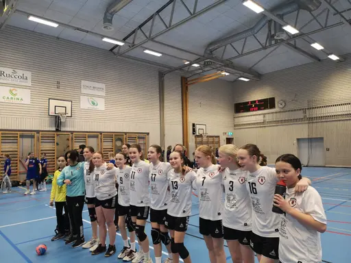 Collagebild från spel, tack efter match samt i väntan på match. 