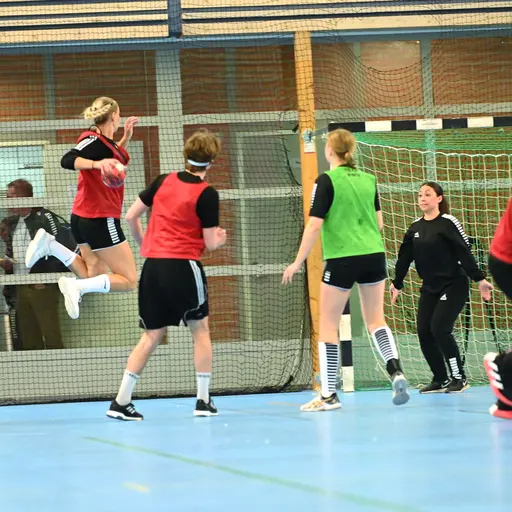 Fotograf: Pär Ahrling/@handboll_i_fokus