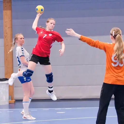 Foton från Handboll i fokus på Alva, Tilde, Elias, Fanny och Clara.