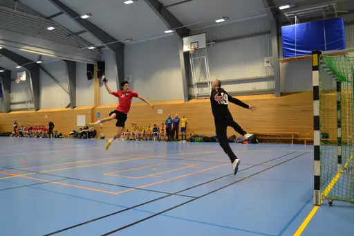 Vinst 27-22. Foto: Per Nordqvist.