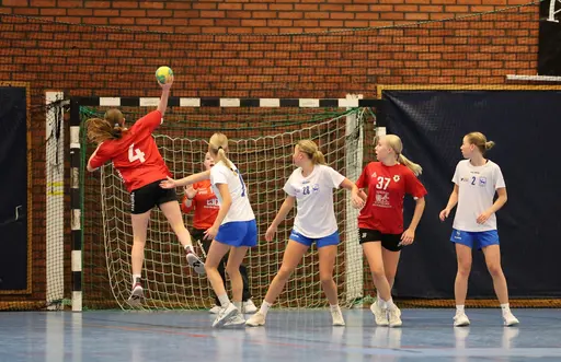 Bilder från matcherna tagna av Ludvika Handbollsklubb