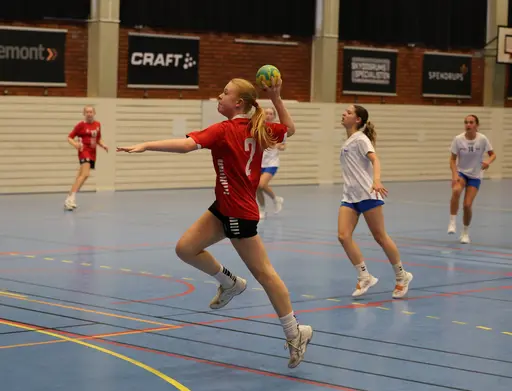Bilder från matcherna tagna av Ludvika Handbollsklubb