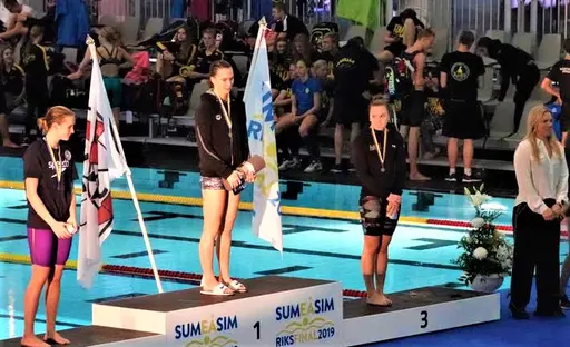 SUMSIM riks 2019 Umeå