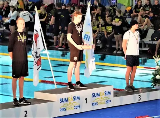 SUMSIM riks 2019 Umeå