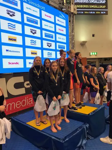 SUMSIM riks 2018 Stockholm