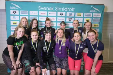 SUMSIM riks 2019 Umeå
