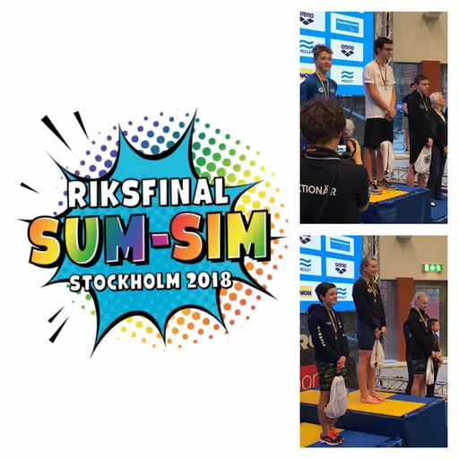SUMSIM riks 2018 Stockholm