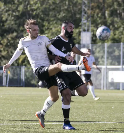 Kirsebers IP 2019-09-21 