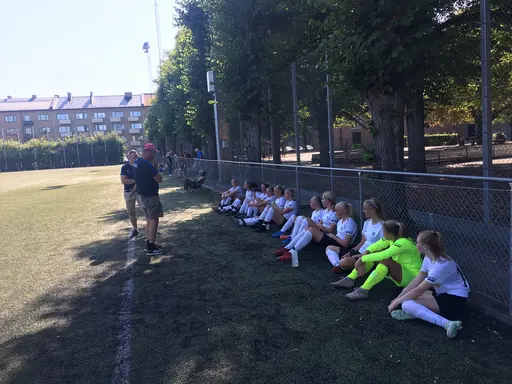 Bild 1. matchbild, bild 2. lite genomgång i halvlek i sköna skuggan