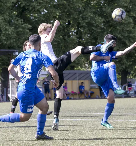 Lomma IP 2019-06-29