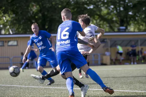 Lomma IP 2019-06-29