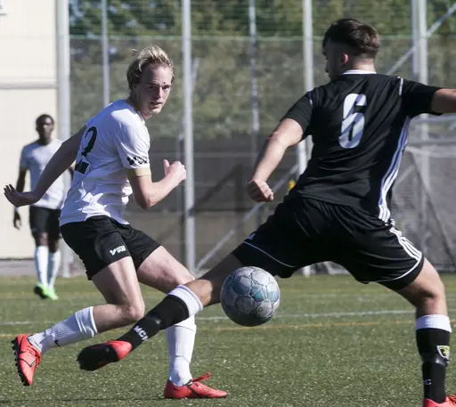 Kirsebers IP 2019-09-21 