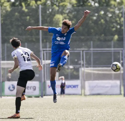 Lomma IP 2019-06-29