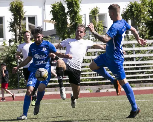 Lomma IP 2019-06-29