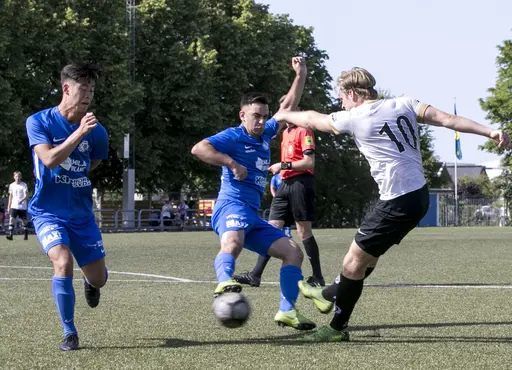 Lomma IP 2019-06-29