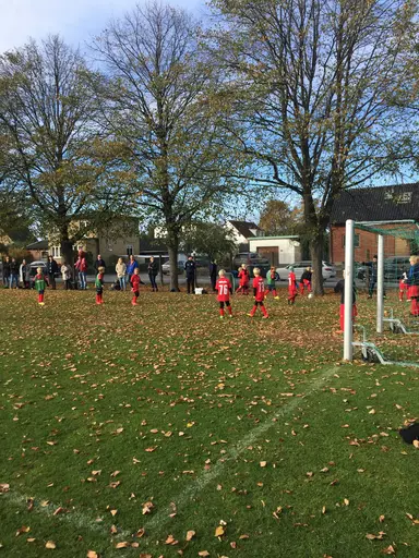 Bilder från några av lagen den 21/10