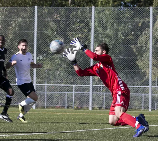 Kirsebers IP 2019-09-21 