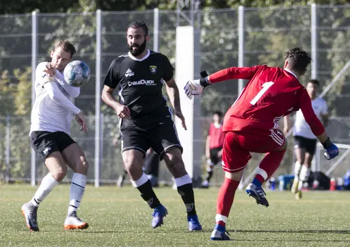 Kirsebers IP 2019-09-21 